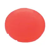216442