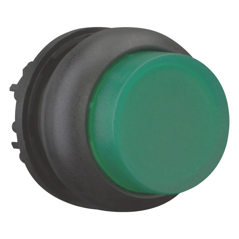 Eaton Electric M22S-DLH-G Pic_2