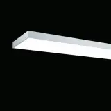 SPC0630026