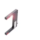 BGL0029