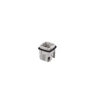 Wieland MIN STS     3 2,5 40 Pic_1