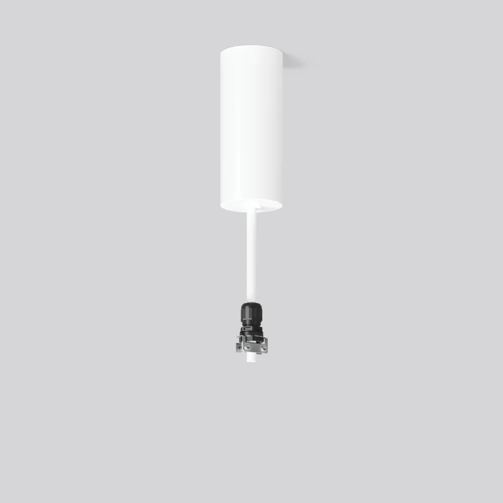 Rzb 982716.002 Pic_1