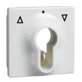 363034