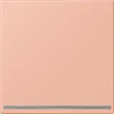 LC 1539-OO LNW 231