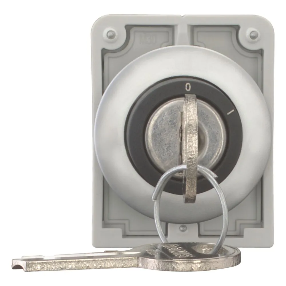 Eaton Electric M30C-FWRS-RS Pic_1