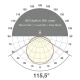 ICSB2024302855