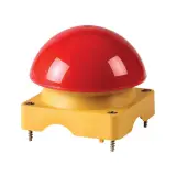 229755