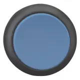 216650