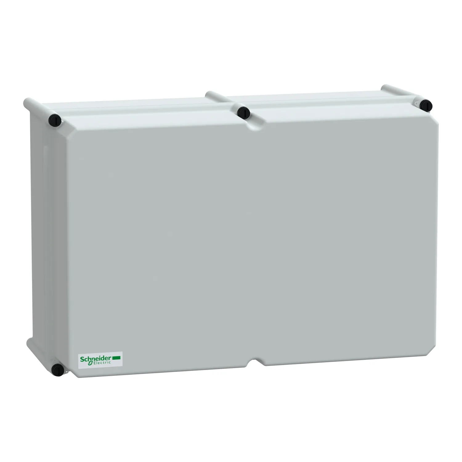 Schneider Electric NSYPLSC3654AG Pic_1