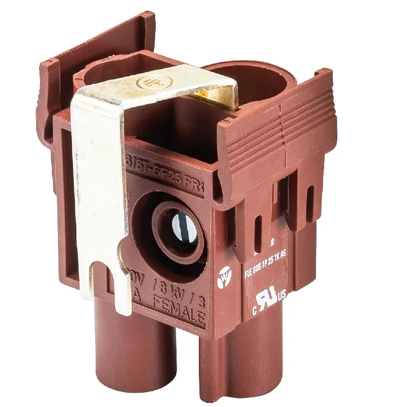 Wieland FLE BUS 1P 25 1K AG Pic_1