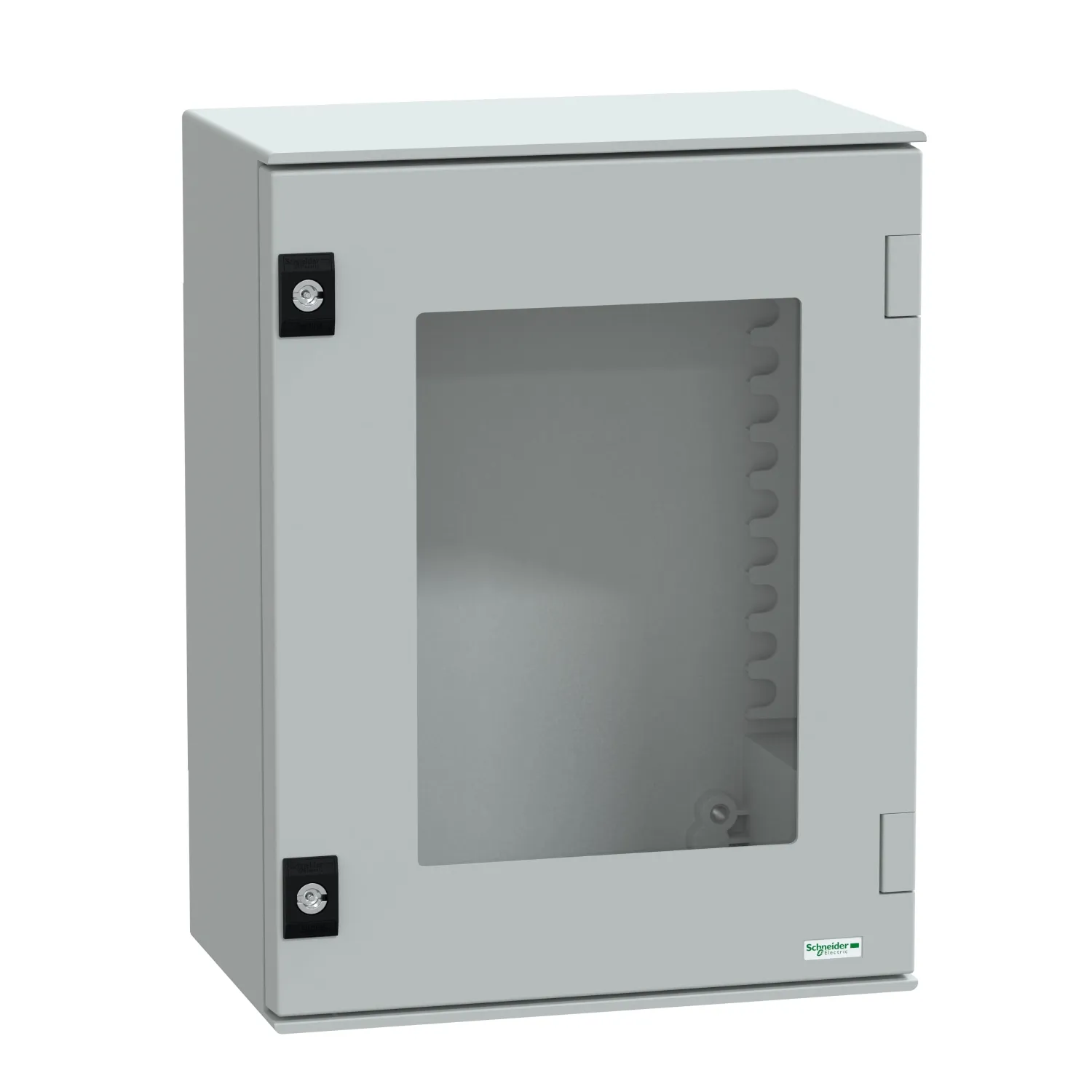 Schneider Electric NSYPLM43TG Pic_1