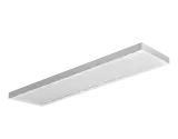 542003155900