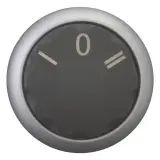 216861