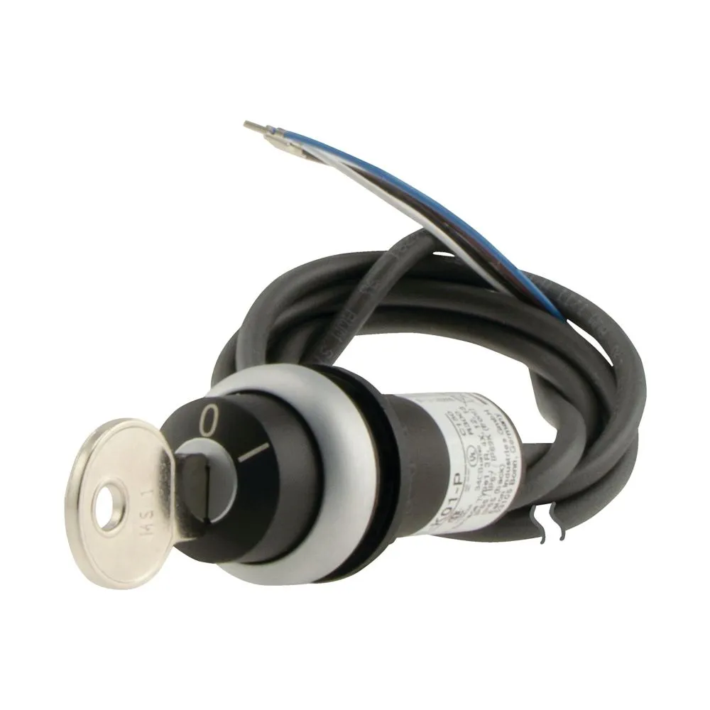 Eaton Electric C22-WS-MS1-K02-P65 Pic_1