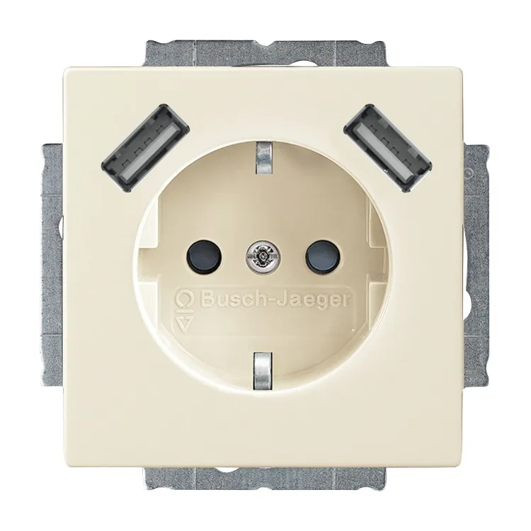 BUSCH-JAEGER ELEKTRO GMBH 20 EUCB2USB-82 Pic_1
