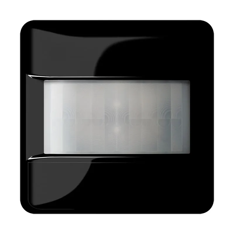 Jung CD 3181-1 SW Pic_1