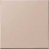 ENOLC990240