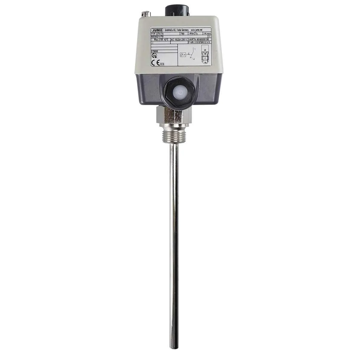 Jumo 603021/70-1-066-00-0-00-20-13-46-200-8-6/000 Pic_1