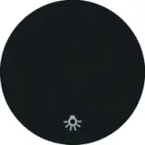 16202035