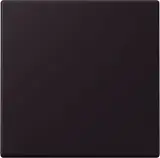ENOLC990248