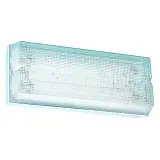 PFW019ML