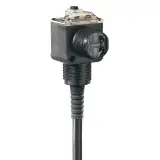 42EF-P2MPB-F4