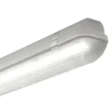 58561
