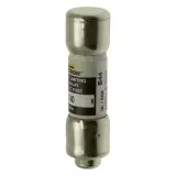 FNQ-R-10