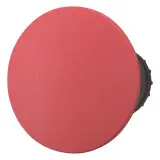 152864