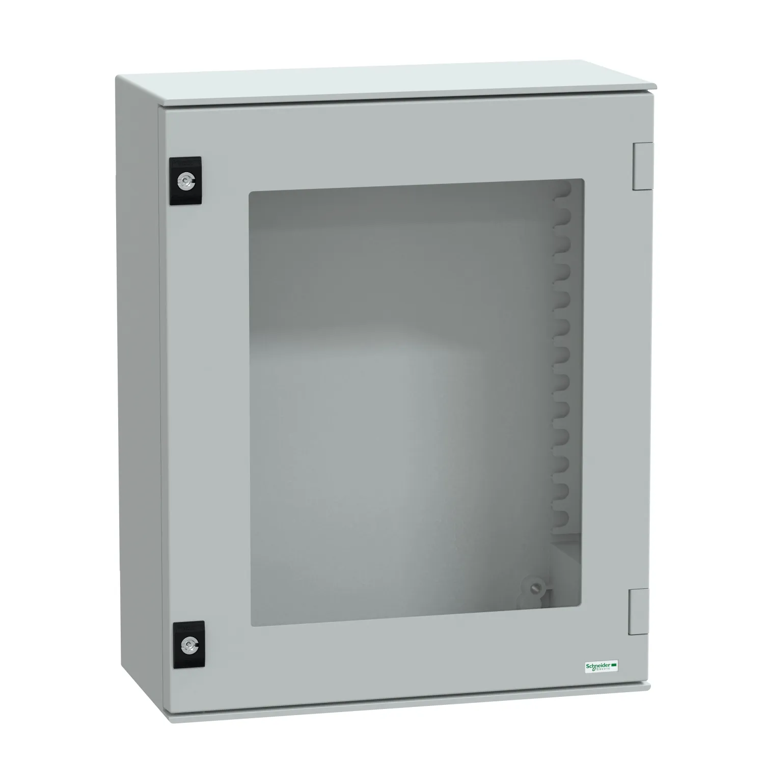 Schneider Electric NSYPLM54TG Pic_1