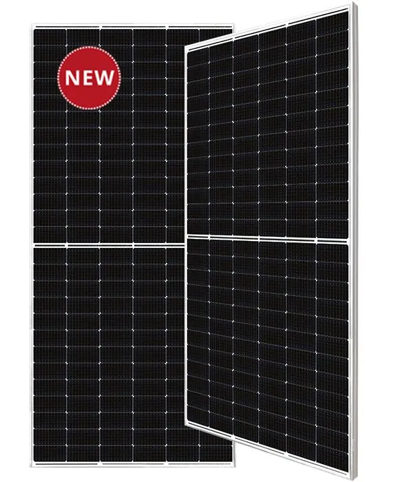 Canadian Solar EMEA GmbH CS6R-MS/BF/410W/T6/1100mm Pic_1