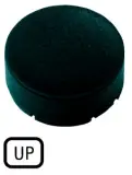 218244