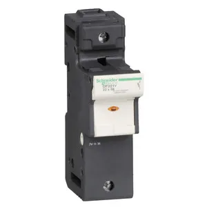 Schneider Electric DF221V Pic_2
