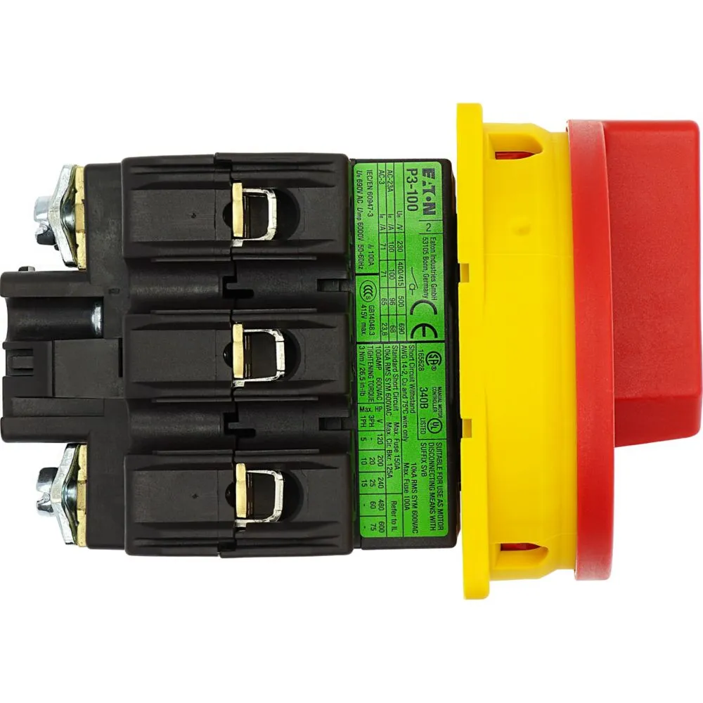 Eaton Electric P3-100/EA/SVB Pic_3
