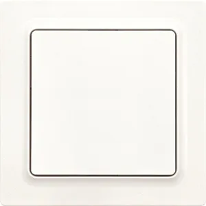 Eltako F2T55E-pm Pic_1