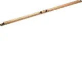 ZM21C