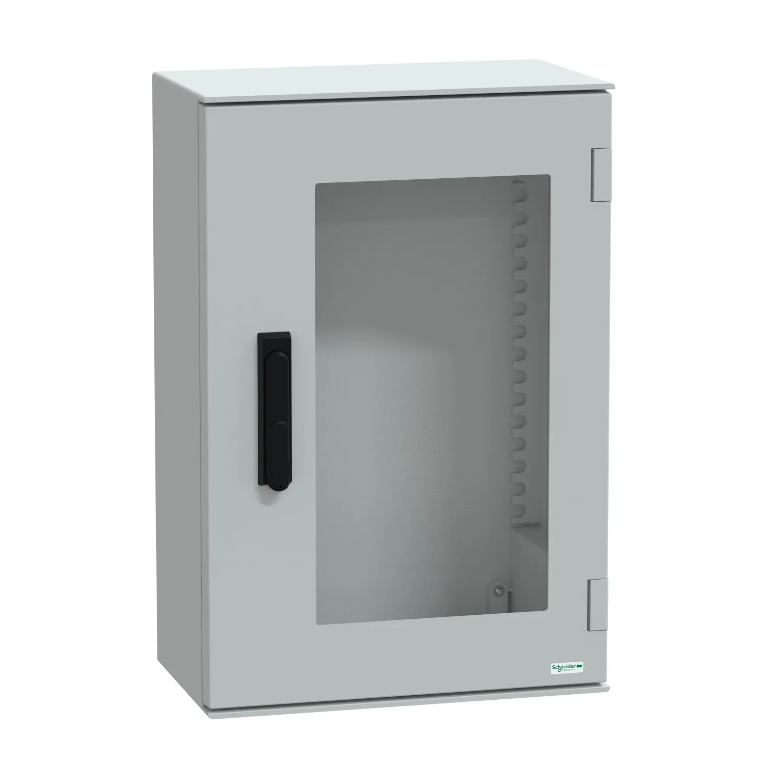 Schneider Electric NSYPLM64TVG Pic_1