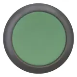 216597
