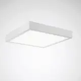 8893251