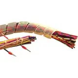 61600010