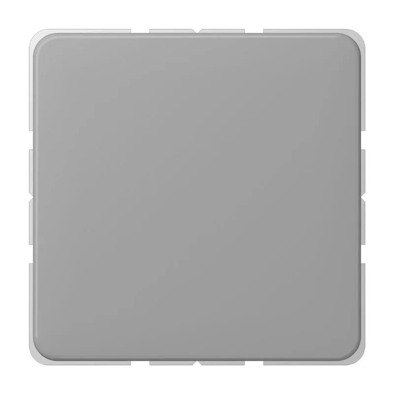 Jung CD 594-0 GR Pic_1