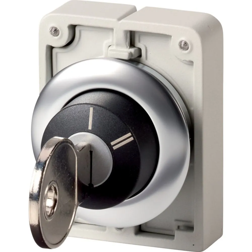 Eaton Electric M30I-FWRS-X95 Pic_1
