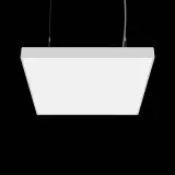 SPC0630029