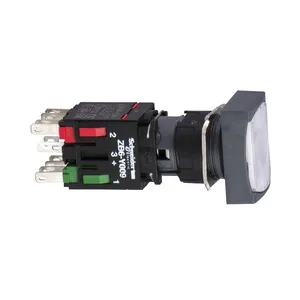 Schneider Electric XB6DF1B5B Pic_2