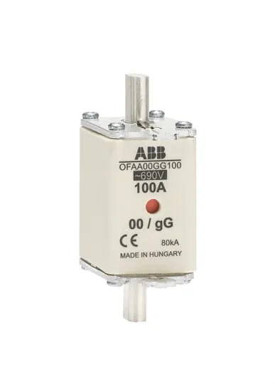 Abb OFAA00GG100 Pic_1