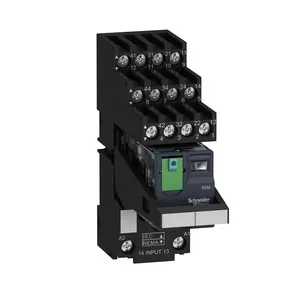 Schneider Electric RXM4AB2BDPVS Pic_1