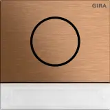 5569921