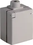 2441