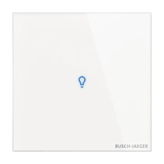 BUSCH-JAEGER ELEKTRO GMBH TB/U1-CG Pic_1