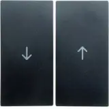 16251606